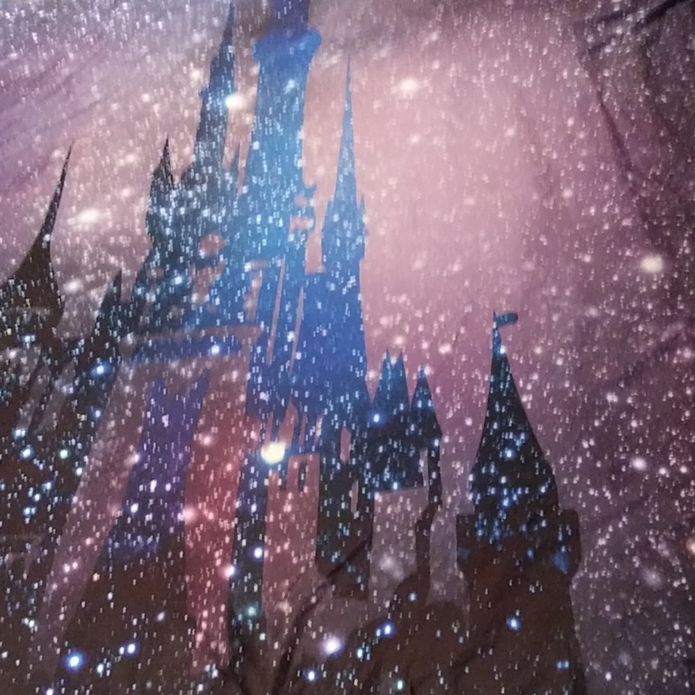 Disney Galaxy Tapestry